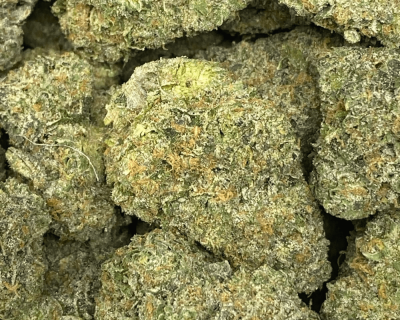 CHAMPAGNE GELATO