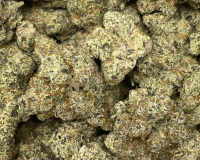 GARLIC TRUFFLEZ
