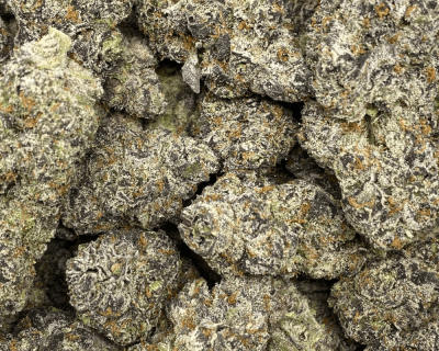 ROCKET FUEL (EXOTIC) - Image 3