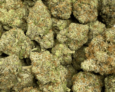 PINK PANTIES (MEGA GAS) - Image 3