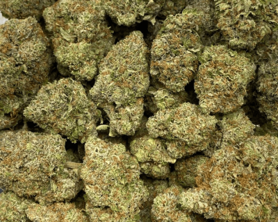 PINK PANTIES (MEGA GAS) - Image 2