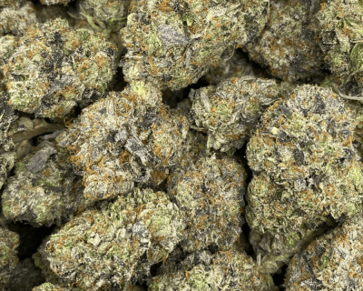 DEATH SHARK LSO (QUADZAZA DEAL) (EXTREME GAS) - Image 3
