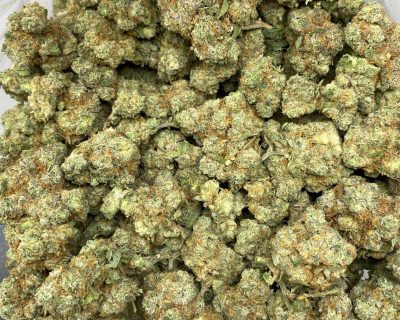 JETFUEL GELATO (EXOTIC)