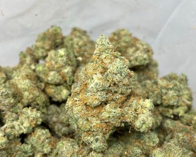 JETFUEL GELATO (EXOTIC) - Image 3