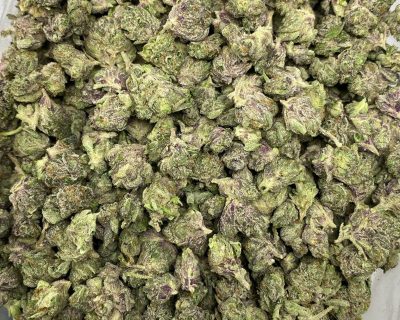PINK BUBBA