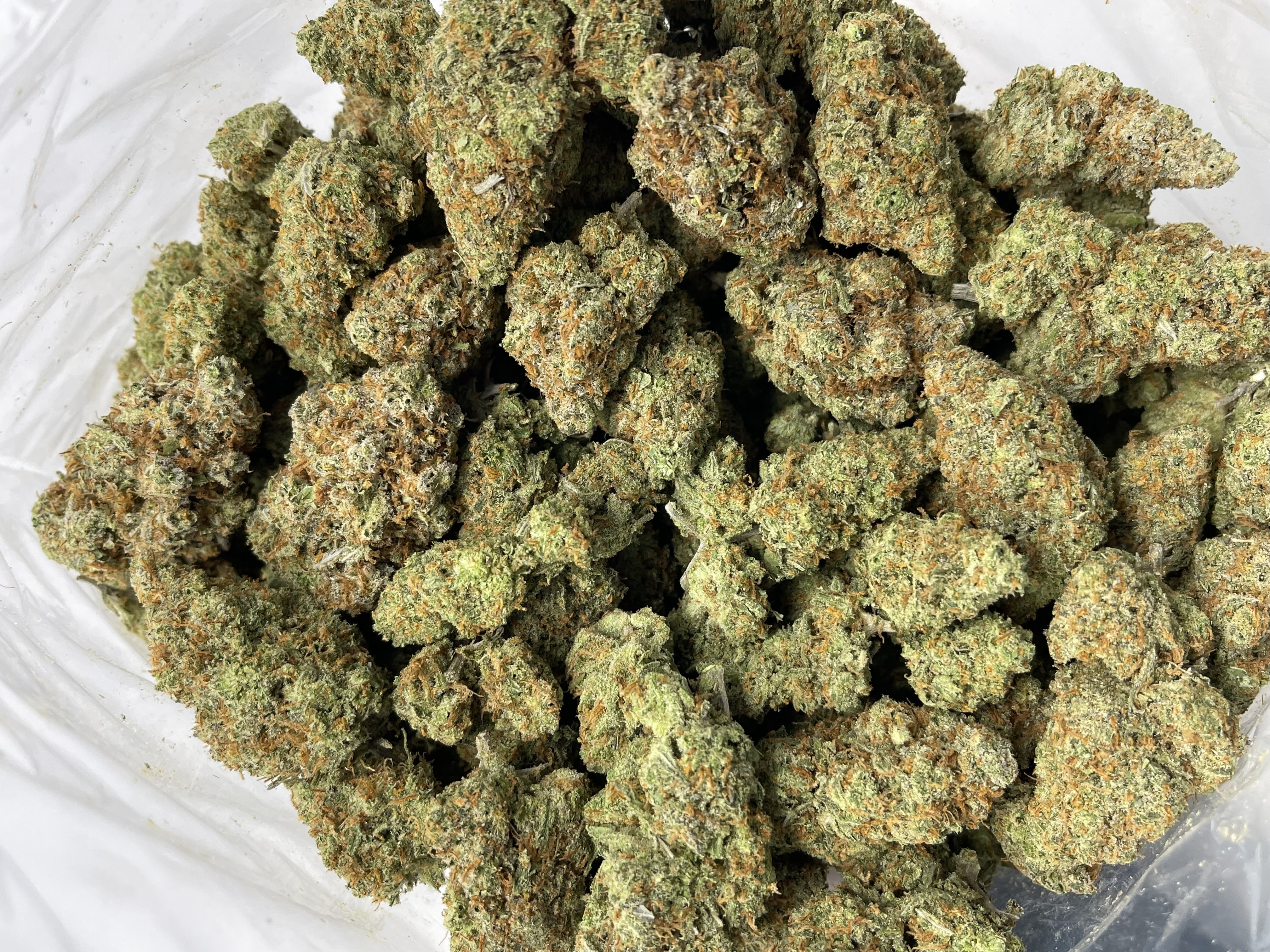 SUPER LEMON HAZE (SATIVA EXOTIC) - Image 3