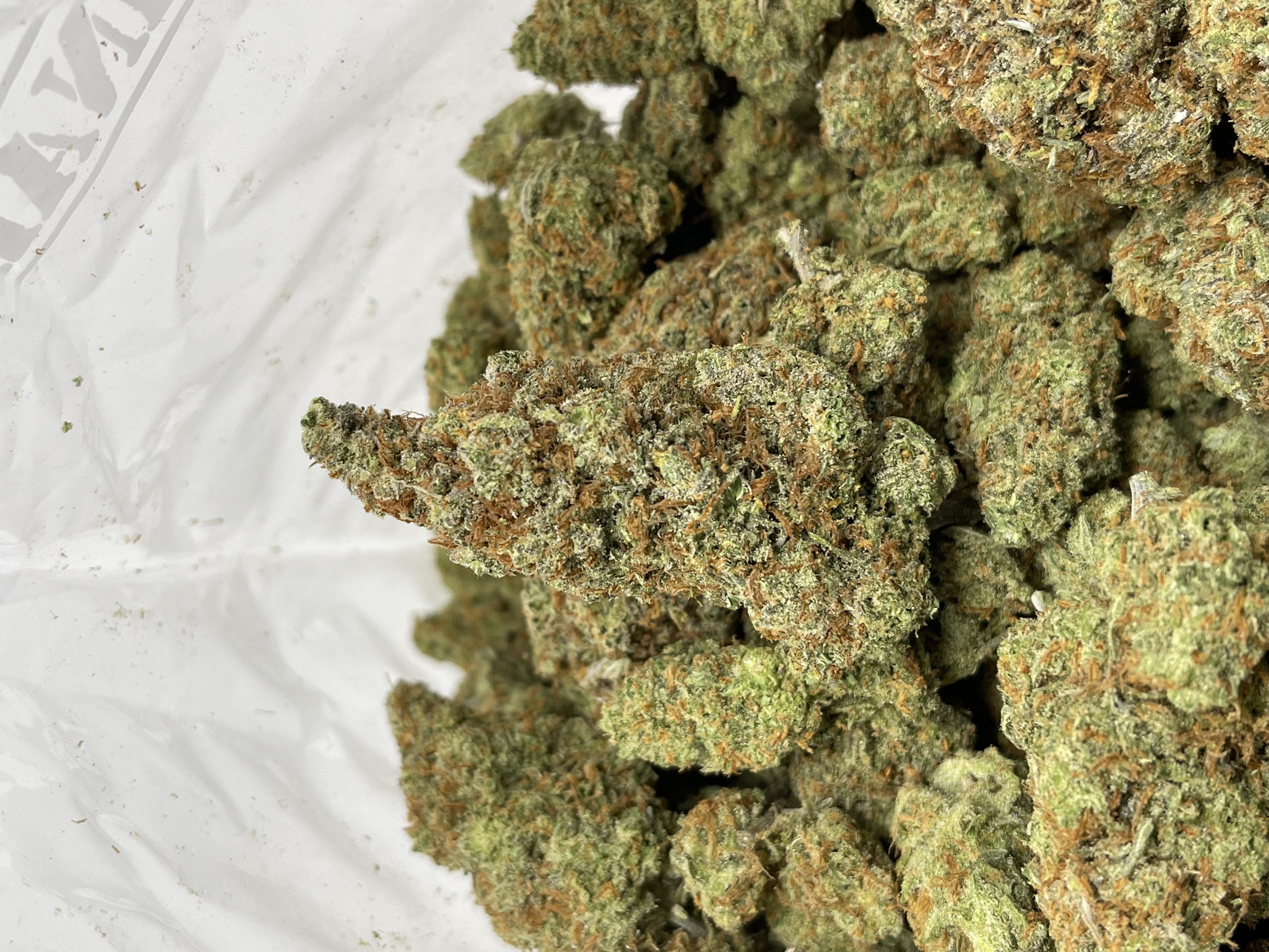 SUPER LEMON HAZE (SATIVA EXOTIC) - Image 2