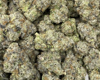 CEO CUT LSO AAAA BY TERPY VIBES (EXTREME GAS) - Image 2