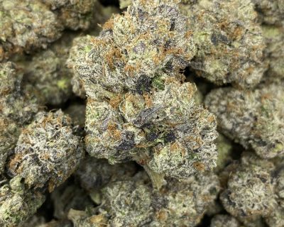 CEO CUT LSO AAAA BY TERPY VIBES (EXTREME GAS) - Image 1