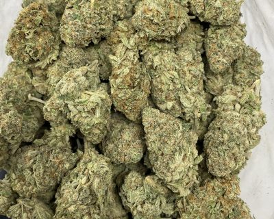 GORILLA GLUE (EXOTIC) - Image 3