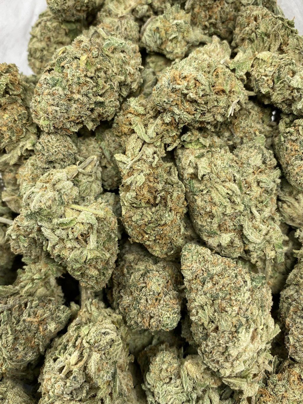 Gorilla Glue
