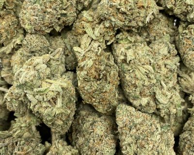 GORILLA GLUE (EXOTIC) - Image 1