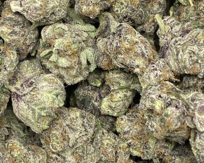 VANILLA CREAM CAKE (EXOTIC) - Image 1