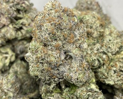 PINK WARHAWK (MEGA GAS DEAL) - Image 2