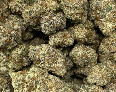 TROPICANA WEDDING CAKE (LSO GEM EXOTIC) - Image 2