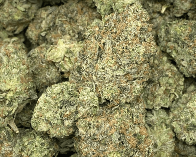 WHITE TUNA