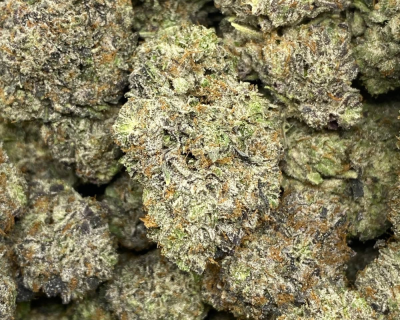 PINK PRISON (MEGA GAS)