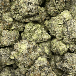 PRE-98 BUBBA (MEGA GAS) - Image 2