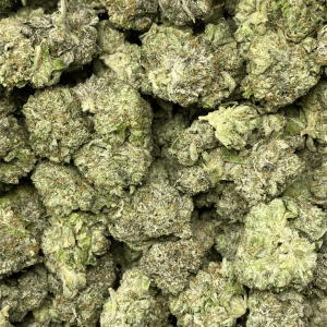 PLATINUM PINK (GAS DEAL) - Image 2