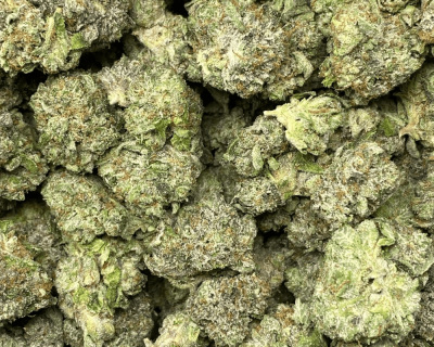 PLATINUM PINK (GAS DEAL) - Image 2