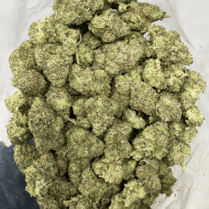 BLUE GLUE (EXOTIC) - Image 3