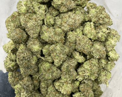 BLUE GLUE (EXOTIC) - Image 3