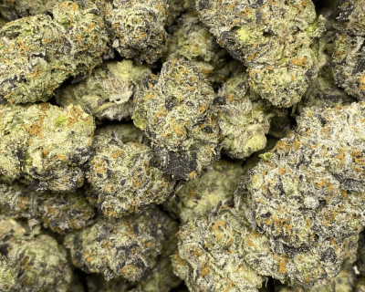 BLUE LAGOON (EXOTIC DEAL) - Image 2