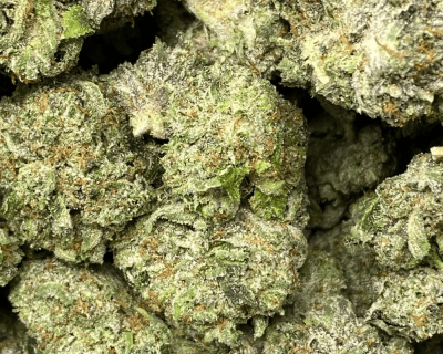 PLATINUM PINK (MEGA GAS)