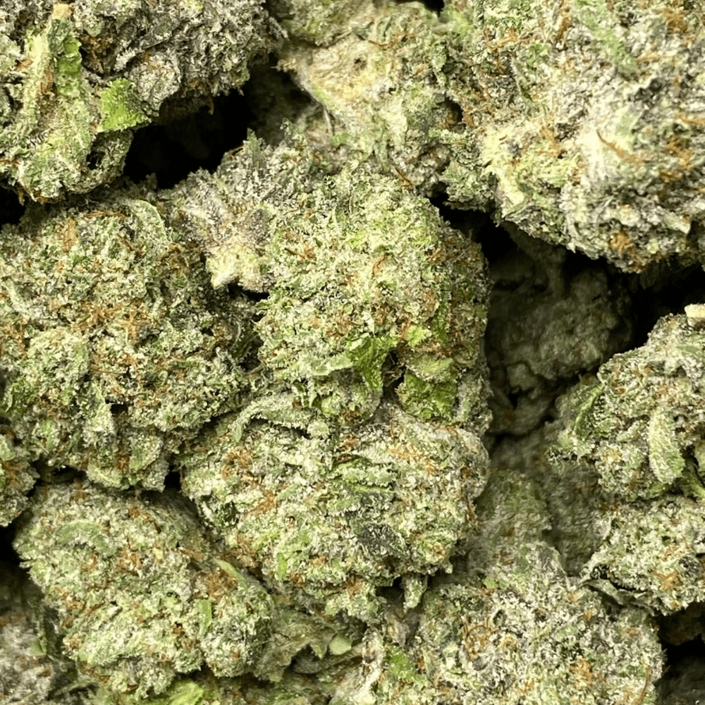 PLATINUM PINK (MEGA GAS)