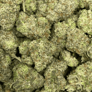 BLUE GLUE (EXOTIC) - Image 2