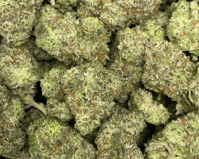 BLUE GLUE (EXOTIC) - Image 2