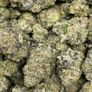 DINO ICE CREAM (EXOTIC) - Image 3