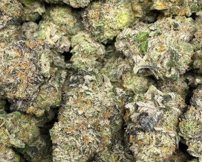 DINO ICE CREAM (EXOTIC) - Image 3