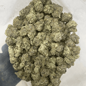 NIGHTCRAWLER PINK (MEGA GAS) - Image 2