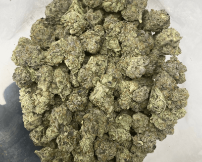 NIGHTCRAWLER PINK (MEGA GAS) - Image 2
