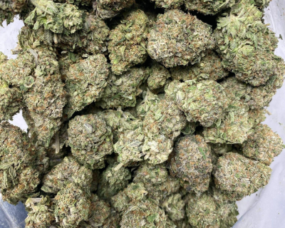 GREASY DEATH (GAS) - Image 3