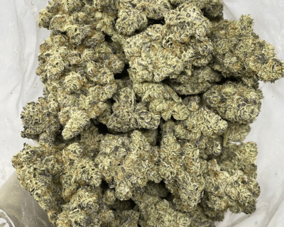 CACTUS BREATH LSO (EXOTIC) - Image 3