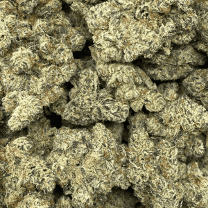 CACTUS BREATH LSO (EXOTIC) - Image 2