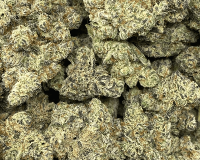 CACTUS BREATH LSO (EXOTIC) - Image 2