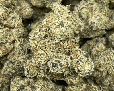 CACTUS BREATH
