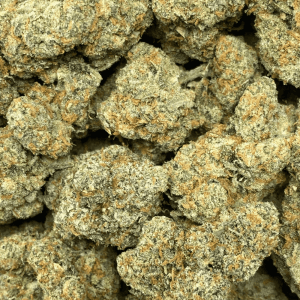 CHEETAH PISS (EXOTIC DEAL) - Image 2