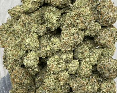 WHITE TUNA (GAS) - Image 2