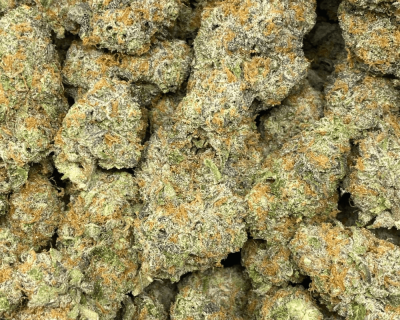 GRAPE ICE CREAM (EXOTIC DEAL) - Image 2