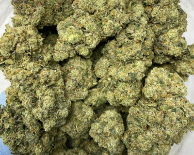 GHOST BISCOTTI (EXOTIC) - Image 3