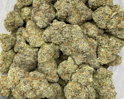 MAUI RUNTZ (EXOTIC DEAL) - Image 3