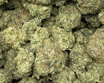WHITE TUNA (GAS) - Image 3