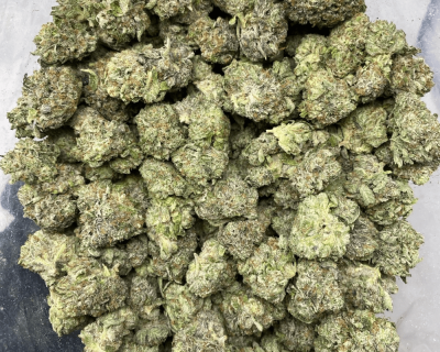 PLATINUM PINK (GAS DEAL) - Image 3