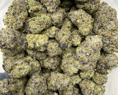 BLUE LAGOON (EXOTIC DEAL) - Image 3