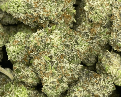 BLUE GLUE
