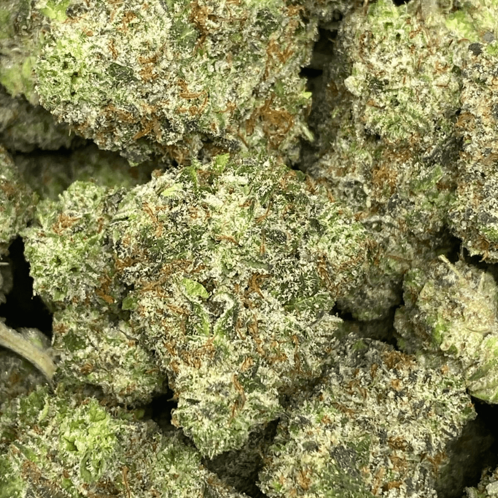 BLUE GLUE